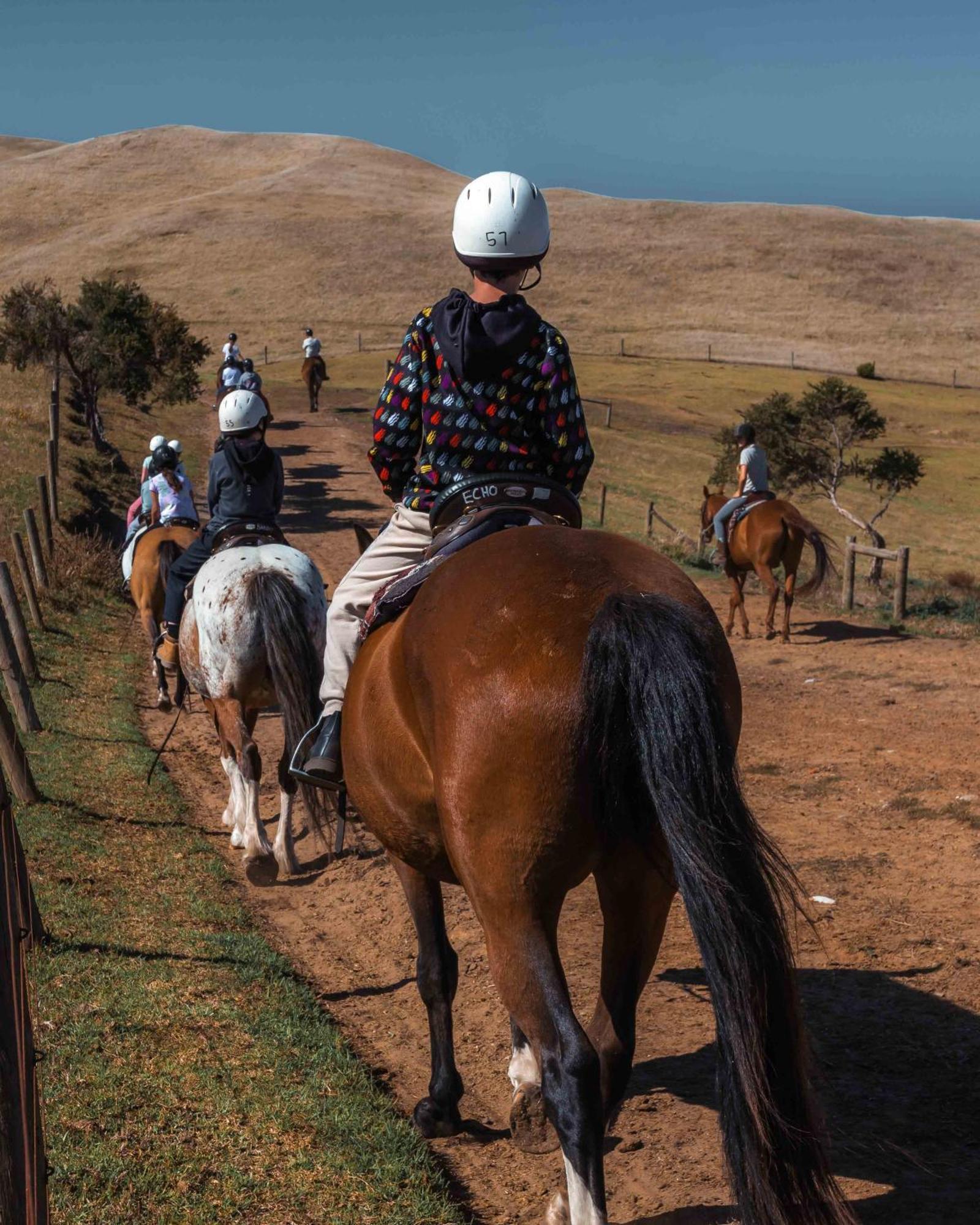 Boneo The Ranch Mornington Peninsula 빌라 외부 사진